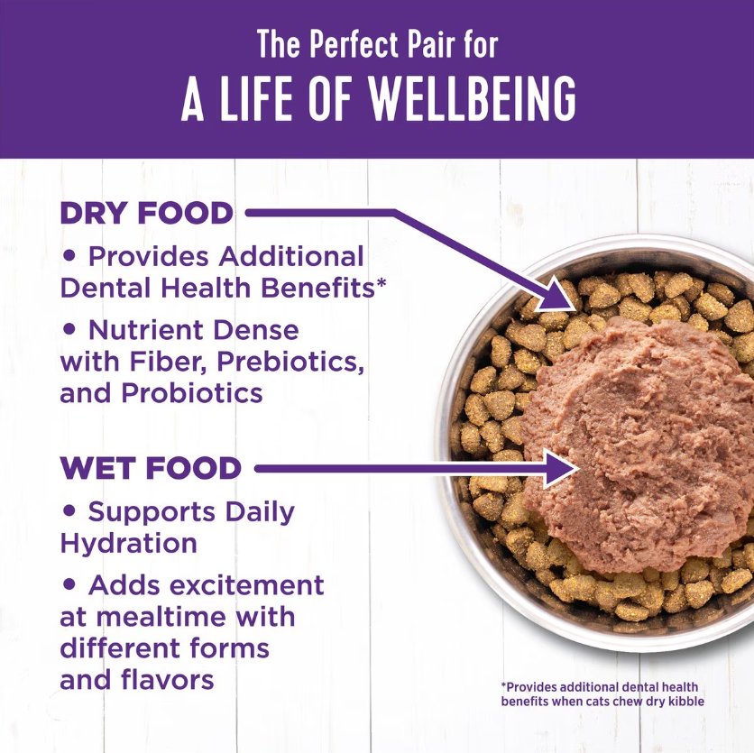 Wellness Complete Health Pate Turkey Dinner Grain-Free Wet Cat Food, 6 X12.5-Oz