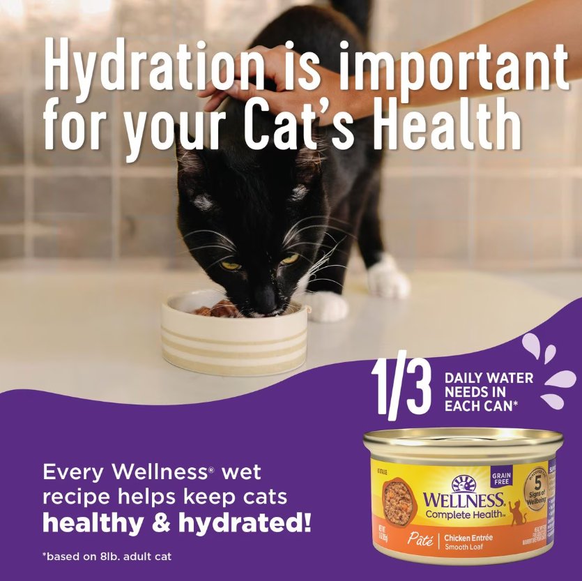 Wellness Complete Health Pate Turkey Dinner Grain-Free Wet Cat Food, 6 X12.5-Oz