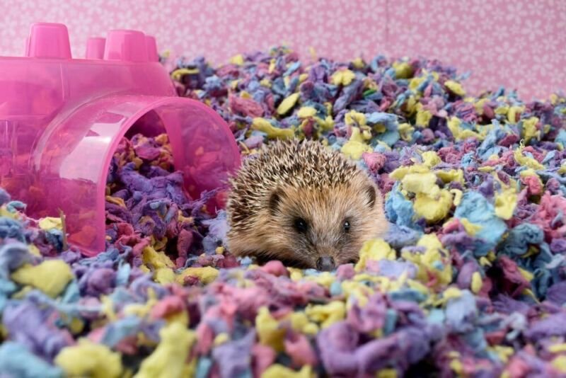 Critter Care Small Animal Bedding - 10 Liter, Confetti