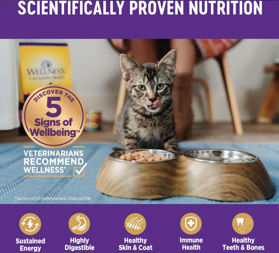 Wellness Complete Health Pate Turkey Dinner Grain-Free Wet Cat Food, 6 X12.5-Oz