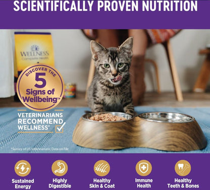 Wellness Complete Health Pate Turkey Dinner Grain-Free Wet Cat Food, 6 X12.5-Oz